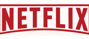 netflix - 12 meses